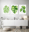 Fern + Monstera+ Ginko Leaf Wall Art Watercolour Green Plant Artwork