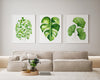 Fern + Monstera+ Ginko Leaf Wall Art Watercolour Green Plant Artwork