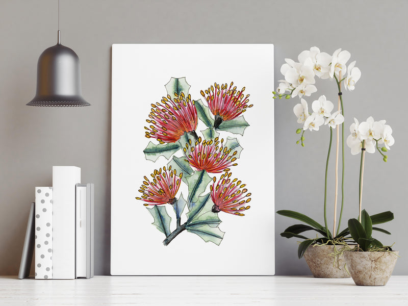 Australian Native Flower Prints - Matchstick Banksia Art