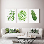 Olive + Fern + Banana Leaf Prints and Canvasses Green Artwork Lounge Room Decor Watercolour Plants