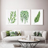 Plant Art Print Trio Olive + String of Pearl + Palm Leaf Wall Art Decor Green Botanical Lounge Room Art