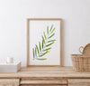 Olive Green Herb Kitchen Canvas and Print