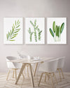 3 Set Green Kitchen Artwork Olive + Thyme + Sage Canvasses and Prints