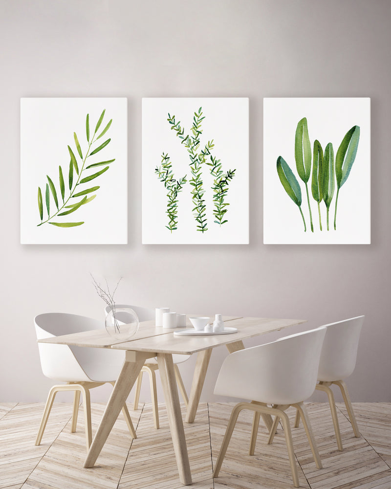 3 Set Green Kitchen Artwork Olive + Thyme + Sage Canvasses and Prints