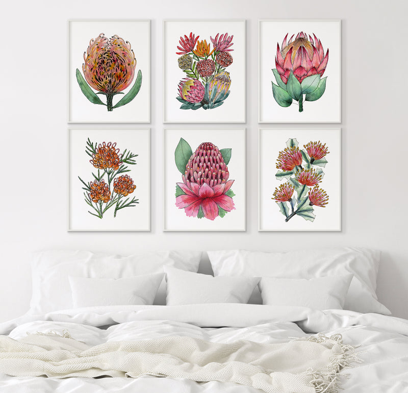 Proteas and Waratah Floral Bundle Set of 6 Canvasses + Prints