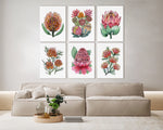 Proteas and Waratah Floral Bundle Set of 6 Canvasses + Prints