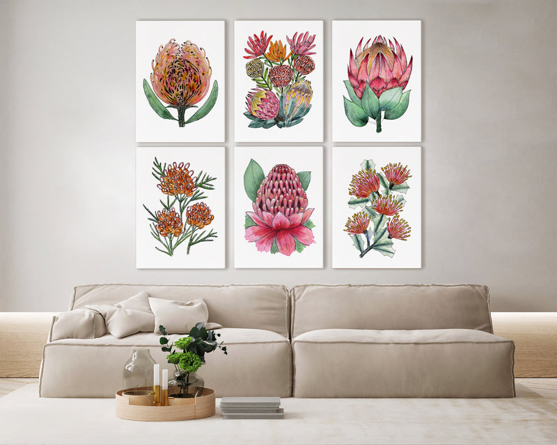Proteas and Waratah Floral Bundle Set of 6 Canvasses + Prints