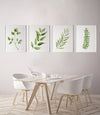 4 Set Green Herbs Canvasses and Prints For Your Kitchen Walls