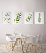 4 Set Green Herbs Canvasses and Prints For Your Kitchen Walls