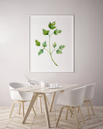 Parsley Green Herb Kitchen Canvas and Print