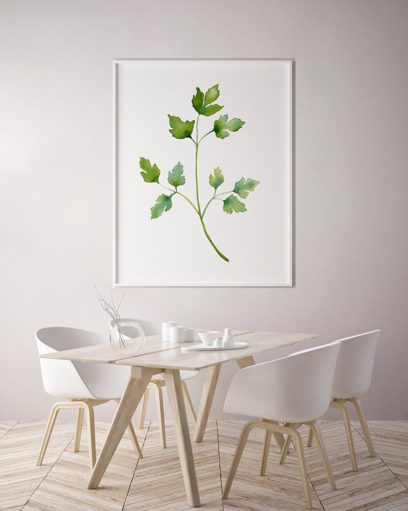 Parsley Green Herb Kitchen Canvas and Print