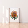 Orange Pincushion Protea Wall Art Print