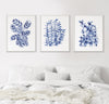 Prayer Plant + Boston Fern + Baby Blue Interior Hamptons Style Art Prints and Canvasses