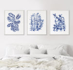 Prayer Plant + Boston Fern + Baby Blue Interior Hamptons Style Art Prints and Canvasses