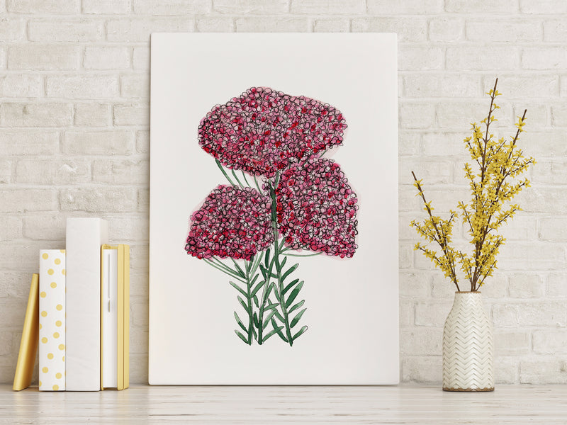 Pink Floral Wall Art Australian Native Rice Flower Print