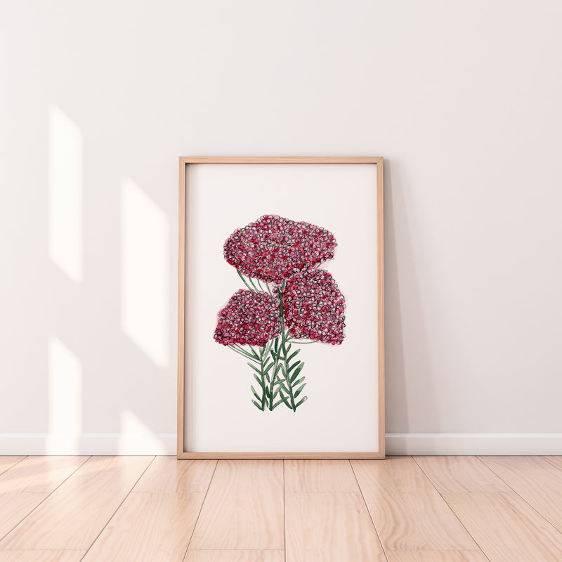 Pink Floral Wall Art Australian Native Rice Flower Print