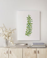 Rosemary Green Herb Kitchen Canvas and Print