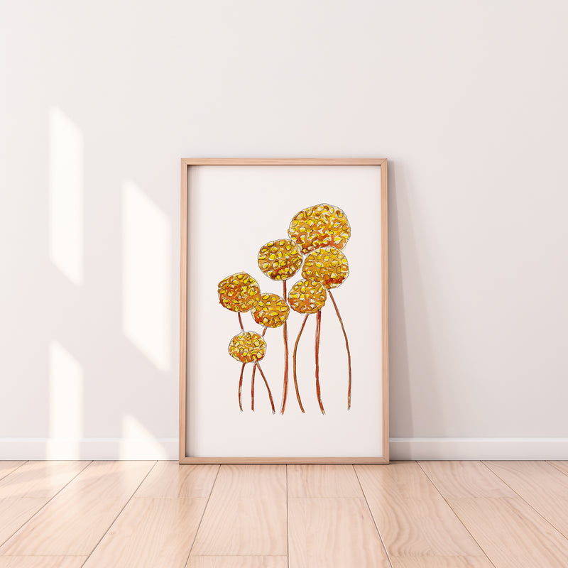 Billy Buttons 2 Wall Art Print