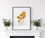 Billy Buttons 2 Wall Art Print