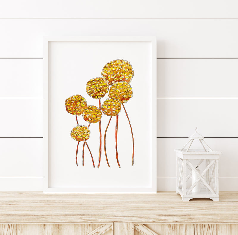 Billy Buttons 2 Wall Art Print