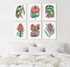 6 Set Aussie Flower Painting Wall Art Canvasses + Prints Collection