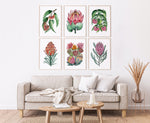 6 Set Aussie Flower Painting Wall Art Canvasses + Prints Collection