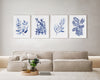 Small Leaved + Baby Blue + Olive + Prayer Plant 4 Blue Leaf Set Paintings