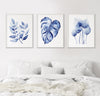 Small Leaved + Monstera + Homalomena Set of 3 Blue Wall Art Prints