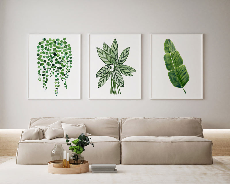 Set of 3 Green Plant Prints Watercolour Botanical Artwork String of Pearls + Ctenanthe +Banana Leaf Wall Art