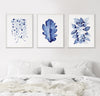 Blue Australian Native 3 Set String of Pearls + Oak + Heart Leaf  Wall Decor Canvasses and Prints