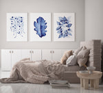 Blue Australian Native 3 Set String of Pearls + Oak + Heart Leaf  Wall Decor Canvasses and Prints