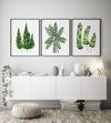 Green Lounge Room Art Watercolour Botanical Leaf Prints and Canvasses