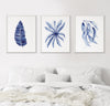 3 Set Blue Watercolour Paintings Botanical Lounge Artwork