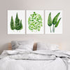 3 Set Sword Leaf Fern + Maiden Hair +- Bird of Paradise Greenery Leaf Prints and Canvasses Interior Home Decoration