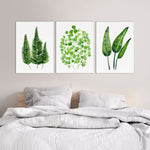 3 Set Sword Leaf Fern + Maiden Hair +- Bird of Paradise Greenery Leaf Prints and Canvasses Interior Home Decoration