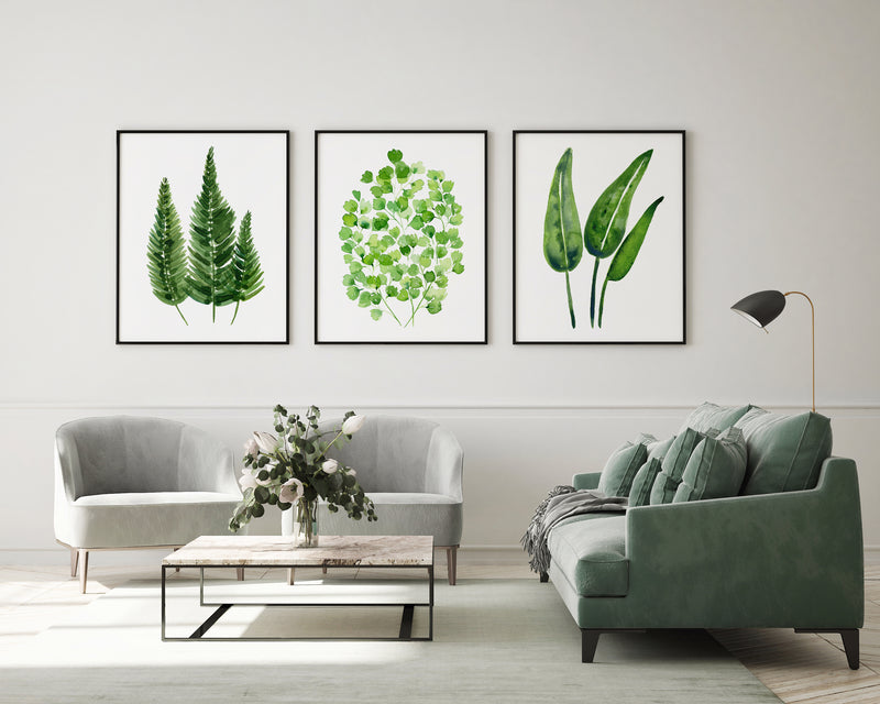 3 Set Sword Leaf Fern + Maiden Hair +- Bird of Paradise Greenery Leaf Prints and Canvasses Interior Home Decoration