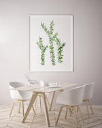 Thyme Green Herb Kitchen Canvas and Print