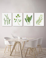 Set of 4 Green Watercolour Herbs Kitchen Wall Hangings Canvasses and Prints