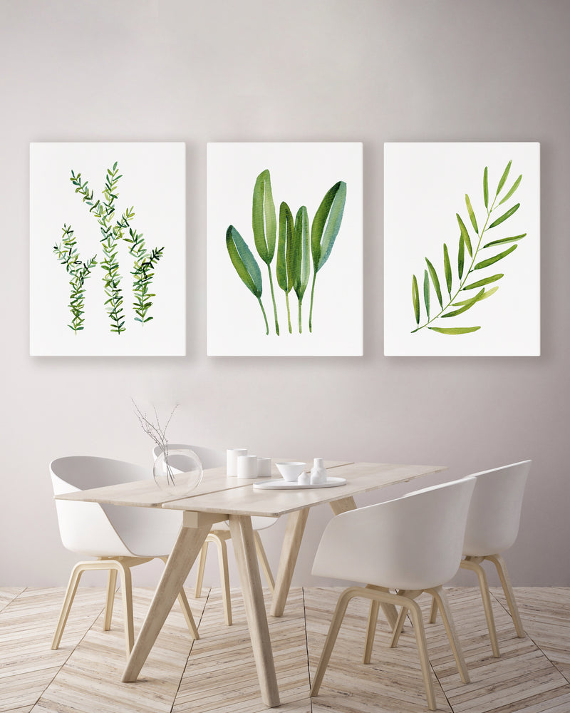 Watercolour Green Herbs 3 Set Canvasses and Prints Thyme + Sage + Olive