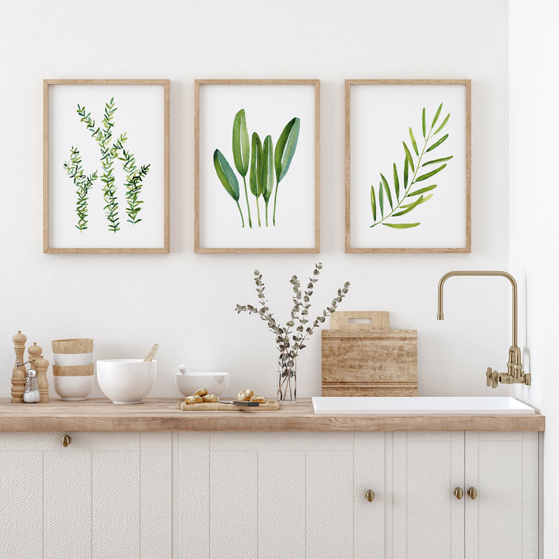 Watercolour Green Herbs 3 Set Canvasses and Prints Thyme + Sage + Olive