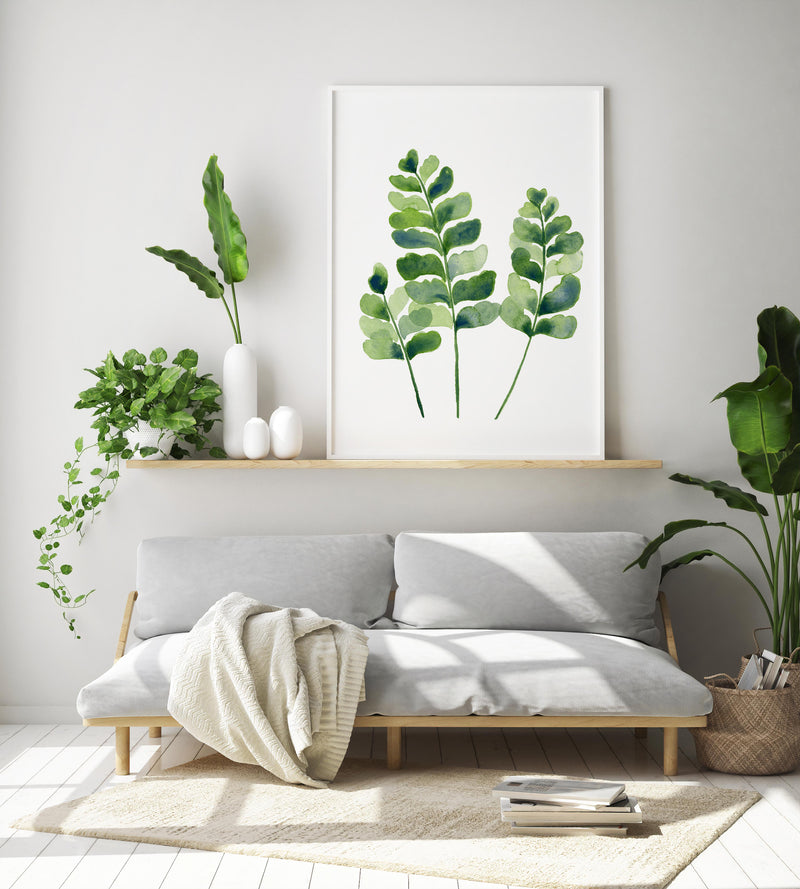 Maidenhair Spleenwort Fern Watercolour Wall Print