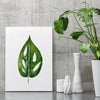 Green Botanical Print Swiss Cheese Plant Watercolour Wall Art