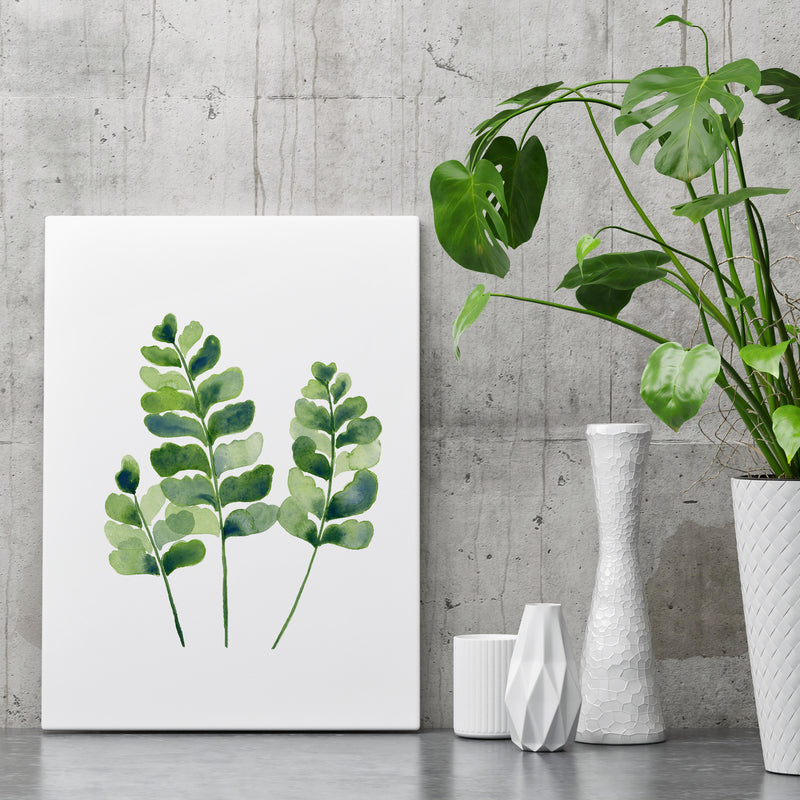 Maidenhair Spleenwort Fern Watercolour Wall Print