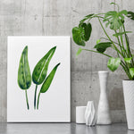 Tropical Leaf Print Bird of Paradise Wall Art Green Watercolour Botanical Art