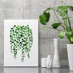 Botanical Art String of Pearls Plant Wall Print Canvas Art Decor