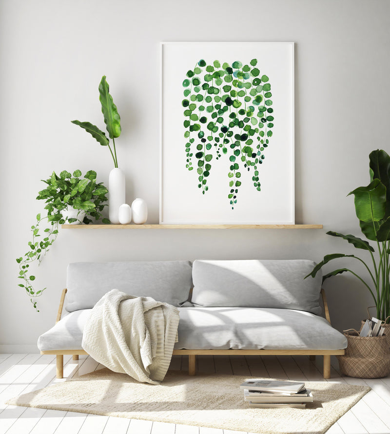 Botanical Art String of Pearls Plant Wall Print Canvas Art Decor