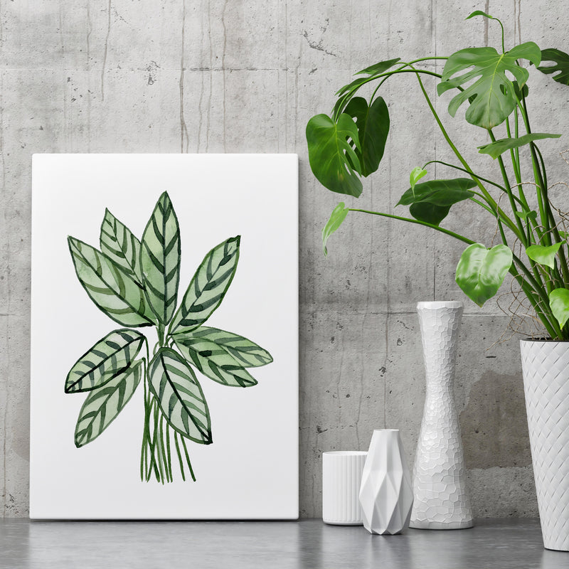 Plant Art Print Green Watercolour Botanical Canvas Wall Print